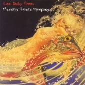 SIMMS LEE BABY  - CD MYSTERY LOVES COMPANY