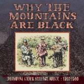 VARIOUS  - 2xCD WHY THE MOUNTAINS ARE..