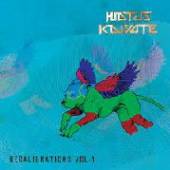 HIATUS KAIYOTE  - VINYL RECALIBRATIONS.. -HQ- [VINYL]