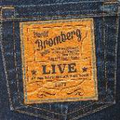 BROMBERG DAVID  - 2xCD LIVE AT THE BOTTOM..