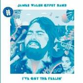  I'VE GOT THE FEELING [VINYL] - supershop.sk