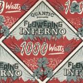 FLOWERING INFERNO  - CD 1000 WATTS