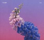 FLUME  - CD SKIN