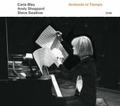 BLEY CARLA&ANDY SHEPPARD&STEVE..  - CD ANDANDO EL TIEMPO