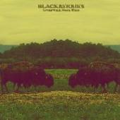 BLACKBERRIES  - CD GREENWICH MEAN TIME