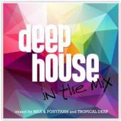 VARIOUS  - 2xCD DEEP HOUSE IN THE MIX