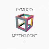 PYMLICO  - 2xVINYL MEETING POINT -LP+CD- [VINYL]