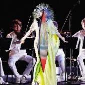 BJORK  - CD VULNICURA STRINGS..