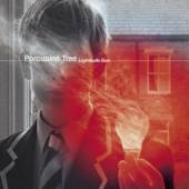 PORCUPINE TREE  - CDG LIGTHBULB SUN