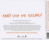  CAN'T STOP THE.. -2TR- - supershop.sk