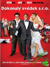  DOKONALÝ SVĚDEK S.R.O. (Wedding Ringer) - DVD - supershop.sk