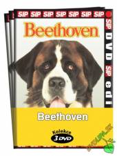  Beethoven / kolekce 3 DVD - supershop.sk