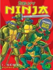  ŽELVY NINJA 1 (Teenage Mutant Ninja Turtles) DVD - suprshop.cz