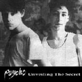  UNVEILING THE SECRET [VINYL] - supershop.sk