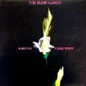 FLESH EATERS  - CD FOREVER CAME TODAY