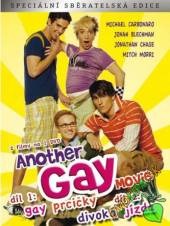 FILM  - DVD Another Gay Movi..