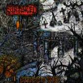  SHADOWS OF THE PAST [VINYL] - supershop.sk