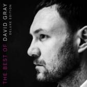 GRAY DAVID  - 2xCD BEST OF DAVID.. [DELUXE]