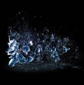 DILLINGER ESCAPE PLAN  - CD DISSOCIATION