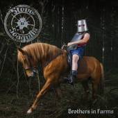 STEVE 'N' SEAGULLS  - CD BROTHERS IN FARMS