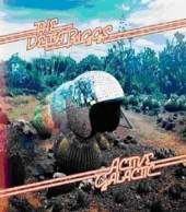 DELTA RIGGS  - CD ACTIVE GALACTIC