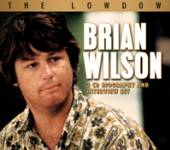 BRIAN WILSON  - CD+DVD THE LOWDOWN