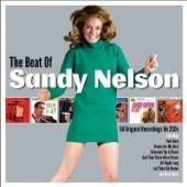 NELSON SANDY  - 2xCD BEAT OF