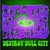 PSYCHOTIC TURNBUCKLES  - CD DESTROY DULL CITY