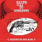  SALVO OF 24 GUNSHOTS [VINYL] - suprshop.cz