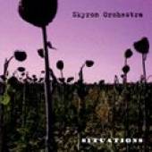 SKYRON ORCHESTRA  - CD SITUATIONS