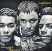 IMAGINATION  - CD FASCINATION OF THE PHYSICAL