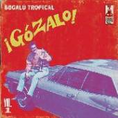  GOZALO! VOL.1 -180GRAMS- [VINYL] - supershop.sk