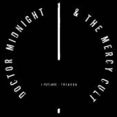 DOCTOR MIDNIGHT & THE MERCY CU..  - VINYL I DECLARE: TRE..