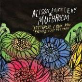 LEVY ALISON FAITH  - CD YESTERDAY I SAW YOU