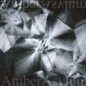 AMBER ASYLUM  - CD STILL POINT