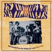 VARIOUS  - CD PSYCHEDELIC SCHLEMIELS