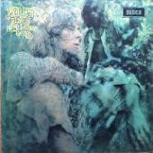  BLUES FROM LAUREL CANYON [VINYL] - suprshop.cz