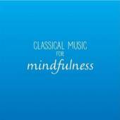 VARIOUS  - CD CLASSICAL MUSIC FOR..