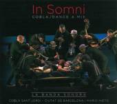 COBLA SANT JORDI CIUTAT D  - CD IN SOMNI-COBLA/ DANCE A..