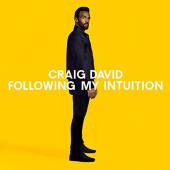 DAVID CRAIG  - 2xVINYL FOLLOWING MY INTUITION [VINYL]