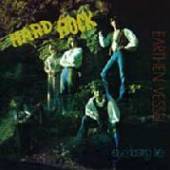  HARD ROCK: EVERLASTING LIFE - supershop.sk