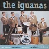  IGUANAS - supershop.sk