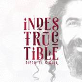 EL CIGALA DIEGO  - CD INDESTRUCTIBLE