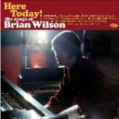 VARIOUS  - CD HERE TODAY! THE SONGS OF BRIAN WILSON
