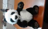  Plyšová panda sedící, 33 cm - supershop.sk