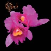 OPETH  - CD ORCHID