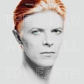  MAN WHO FELL TO EARTH [VINYL] - supershop.sk