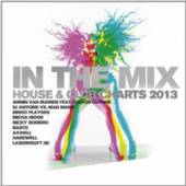 VARIOUS  - CD+DVD IN THE MIX - ..