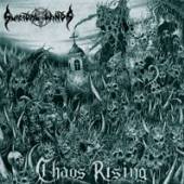 SUICIDAL WINDS  - CDD CHAOS RISING