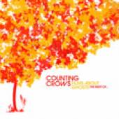 COUNTING CROWS  - CD FILMS ABOUT..-INT.EDITION